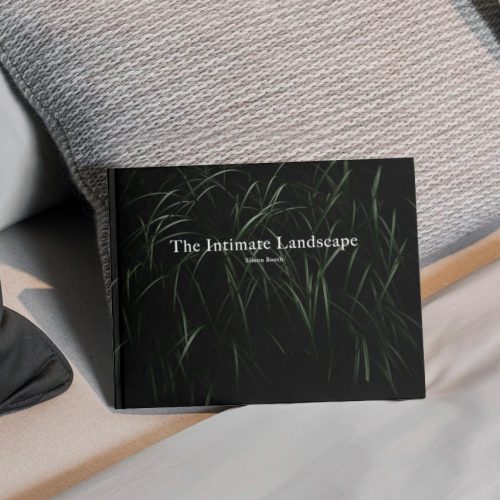 Learn To See - The Intimate Landscape
